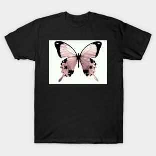 pink peach butterfly specimen natural history botanical T-Shirt